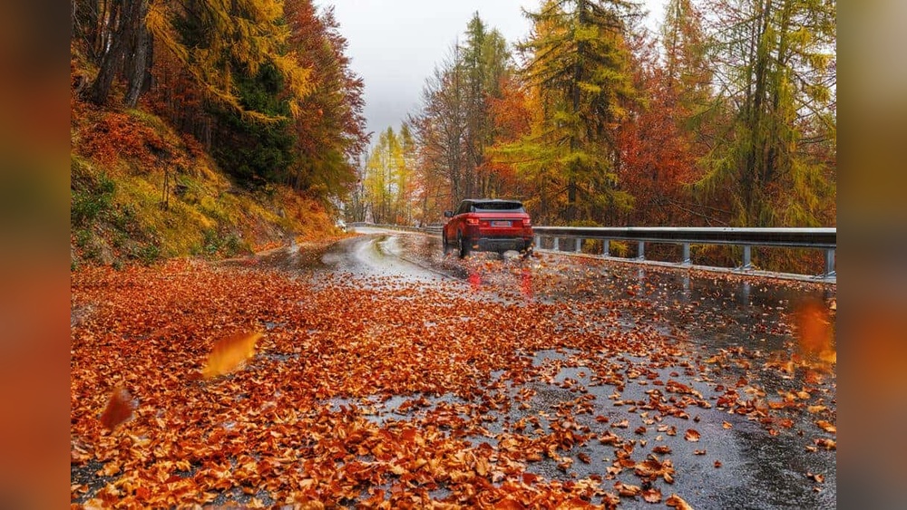 Fall Driving Safety Tips for Foggy Mornings