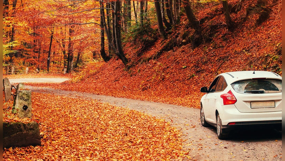 How to Prepare Your Car for Fall Season