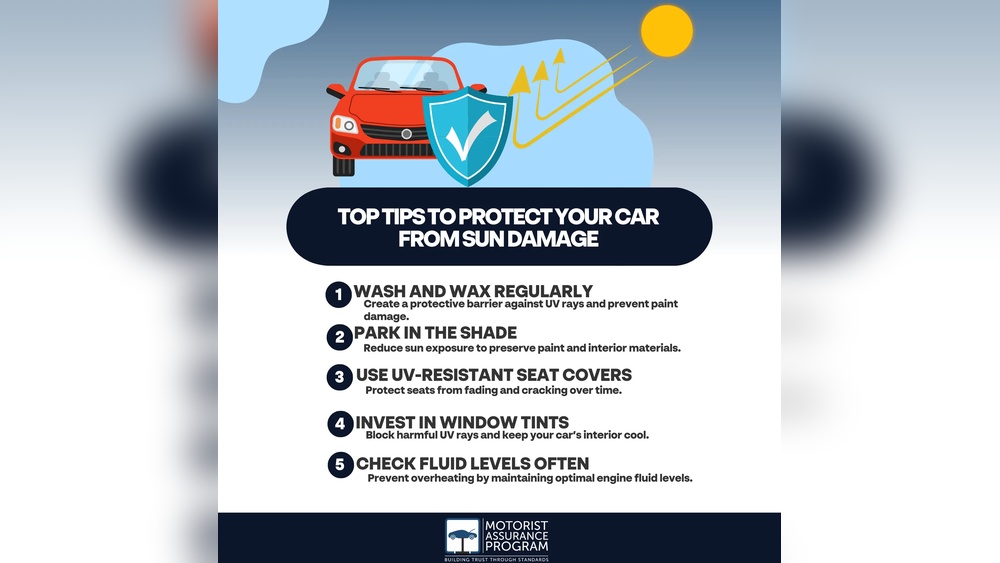 How to Protect Car Paint During Fall Season