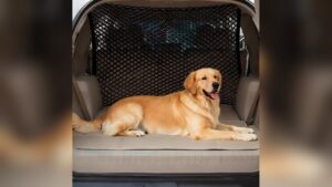 Chevrolet Suburban Dog Barrier
